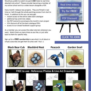 The last page of the lesson which has details about the art video tutorials that Paul also sells online.  There are also 4 photos of other PDF lessons that can be bought, a black bear cub, a nest of eggs, a peacock and a snail.