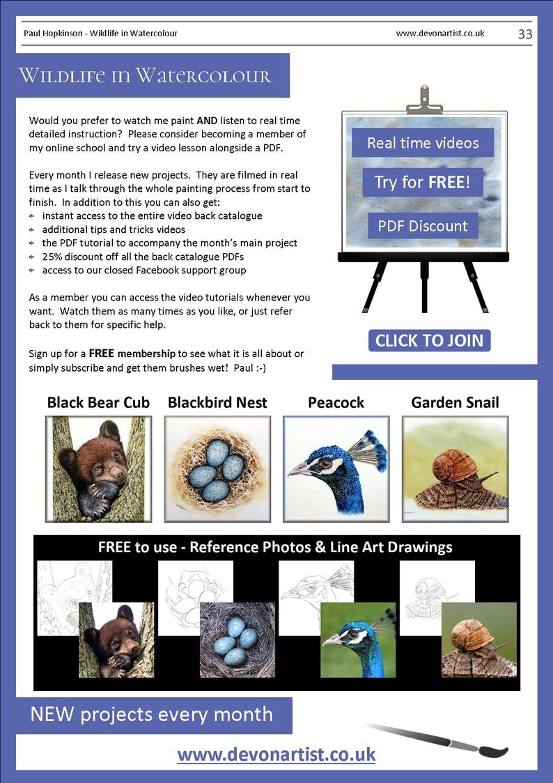 The last page of the lesson which has details about the art video tutorials that Paul also sells online.  There are also 4 photos of other PDF lessons that can be bought, a black bear cub, a nest of eggs, a peacock and a snail.