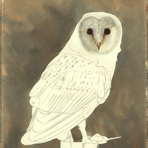 This photo has been taken as Paul has completed layers of pale feathers on the heart-shaped face.  The eyes and beak have also been painted, and the background applied.