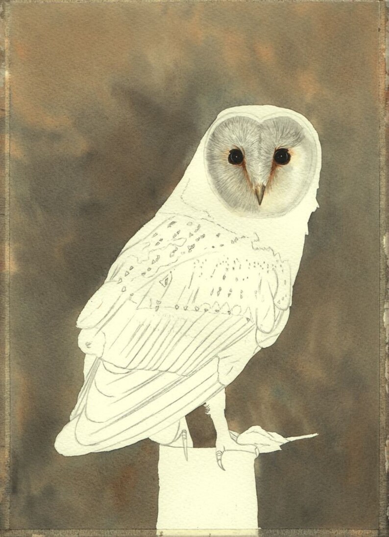 Learn How to Paint PDF Watercolour Owl Tutorial Bird of Prey Etsy UK