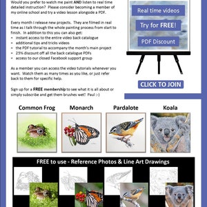 The last page of the lesson which advertises 4 more watercolours that can be bought as PDF tutorials. A frog, butterfly, bird and koala.  There are also written details about Paul's online video lessons.