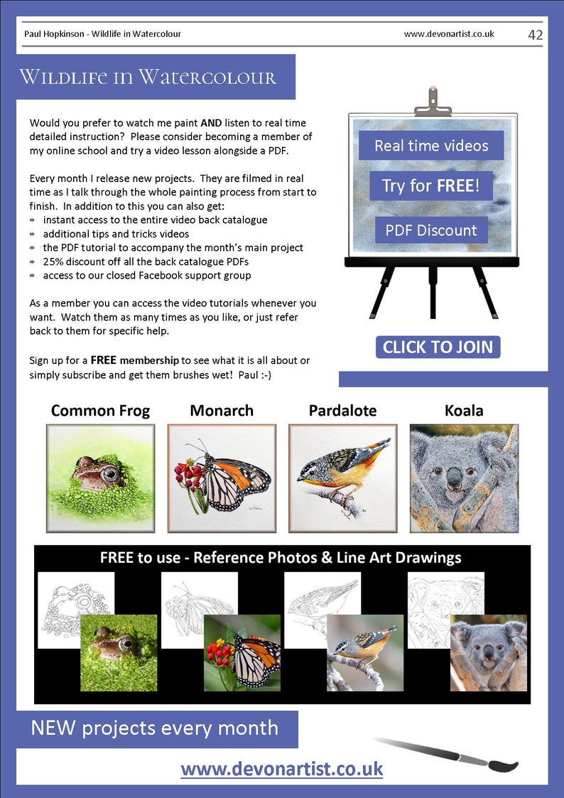 The last page of the lesson which advertises 4 more watercolours that can be bought as PDF tutorials. A frog, butterfly, bird and koala.  There are also written details about Paul's online video lessons.