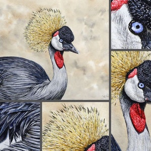 Close up photos from the painting of the crane, which is shown top left in a collage of images.  To the top right is a close up of the eye and face, below a zoomed in photo of the bird's head and neck, below the crown, and the wing feathers.
