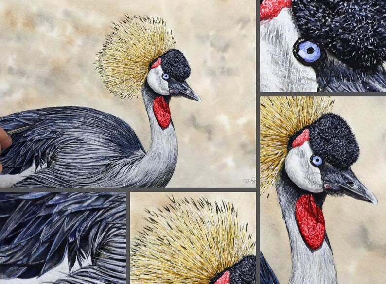 Close up photos from the painting of the crane, which is shown top left in a collage of images.  To the top right is a close up of the eye and face, below a zoomed in photo of the bird's head and neck, below the crown, and the wing feathers.