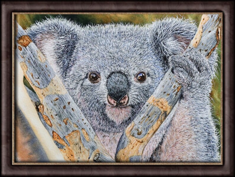 Original Watercolour Koala Painting, Realistic Fine Art Illustration, Watercolor Wildlife Artwork image 4