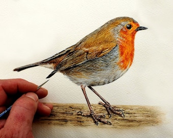 How to Paint a Robin in Watercolour, Watercolor Painting Tutorial, Bird Painting Lessons, Paint Realistic Wildlife, Online Art Tuition