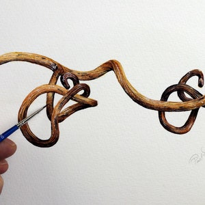 Learn to Paint Twists, Curves and Bends in Watercolour, Beginner Watercolor Lesson, Realistic Grapevine Painting