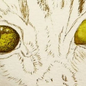 Paul is working on the eyes, which are a lime green colour.  He has applied a wash to both, and is adding detail to the left-hand one.