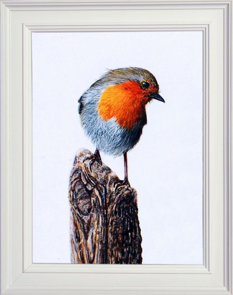 The robin painting in a white frame.  The robin is perched on a wooden stump and, whilst facing forwards, it is looking to the right.  It is a grey and brown bird, with a red face and chest.