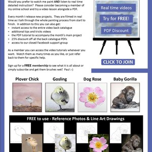 The last page of the lesson, which has details of video tutorials that are also available for budding artists online.  Underneath are images showcasing 4 more PDFs that can be purchased.  A fluffy chick on a beach, a gosling, a rose and agorilla.