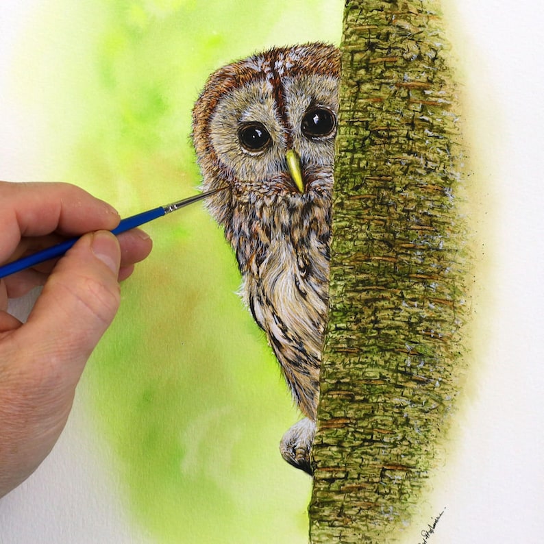 Paul finishing off a very detailed painting of a Tawny Owl as it peeps around the side of a tree.  This is a brown owl, with bright yellow beak and large black eyes.