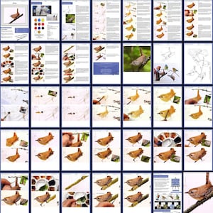 An overview image of all the pages in this lesson.  These are laid out from start to finish, and through the photos you can see the progression of the painting.