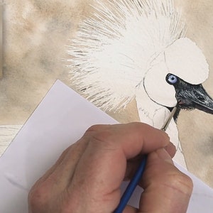 A photo of Paul working on the crane's beak and eye.  He has painted them realistically, with the tiniest of details.  He has already applied a pale brown/ grey mottled background behind the bird.