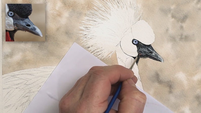 A photo of Paul working on the crane's beak and eye.  He has painted them realistically, with the tiniest of details.  He has already applied a pale brown/ grey mottled background behind the bird.