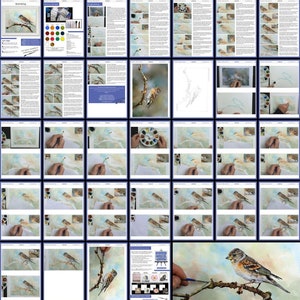 An overview image of the watercolour bird painting tutorial.  This shows all the pages that are in the PDF, and how they are laid out with text instruction and photos of Paul's painting as it progresses.