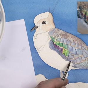 Paul is working on the back of the bird in this photo, and building up purples, greens and blues for the iridescent wing feathers.  His palette of paints is shown to the left.