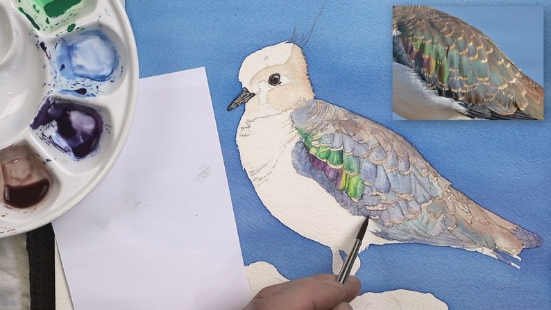 Paul is working on the back of the bird in this photo, and building up purples, greens and blues for the iridescent wing feathers.  His palette of paints is shown to the left.