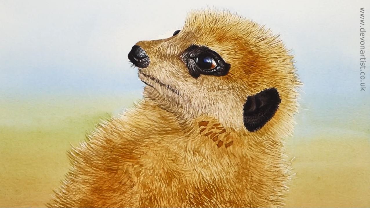 How to Paint Realistic Animal Fur Meerkat Watercolor PDF Etsy