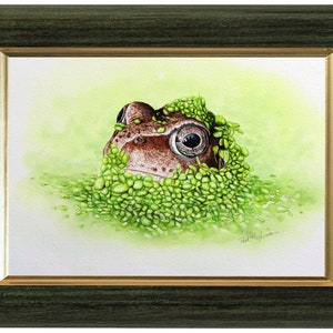 The frog painting in a green frame with a gold trim on the inside edge.