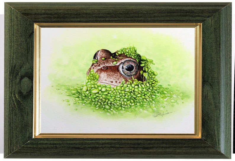 The frog painting in a green frame with a gold trim on the inside edge.