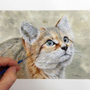 May include: A watercolor painting of a sand cat with blue eyes. The cat is looking up and to the right. The painting is done in a realistic style and the cat's fur is very detailed.