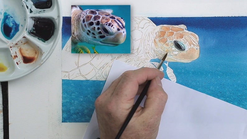 A set of 4 work-in-progress photos, the first shows Paul applying a light brown wash to the animal's face.  He has already painted the eye, and applied the blue background.