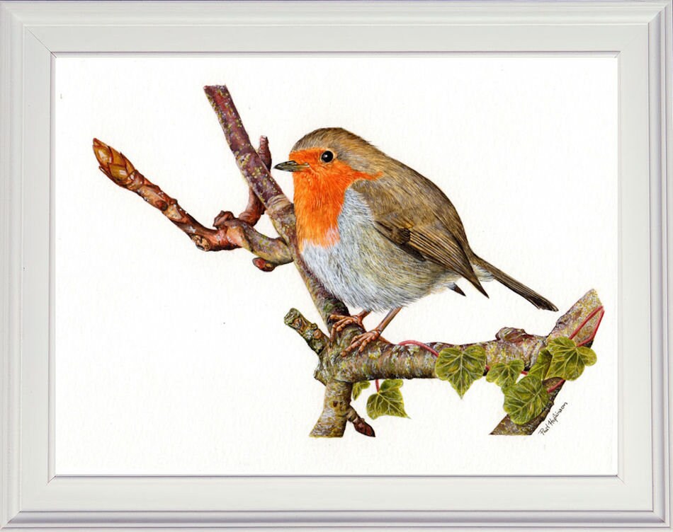 Learn to Paint Birds in Watercolour Step by Step PDF Etsy UK