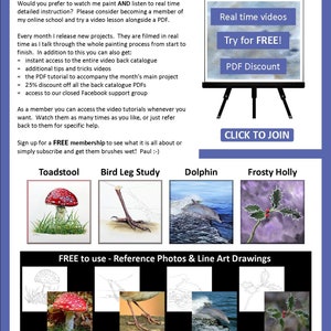 The last page of the lesson, with 4 more PDFs illustrated.  A red spotty toadstool, a bird's leg study, a dolphin and a sprig of holly.  Above is a section of written text focused on the watercolor video tutorials also available.