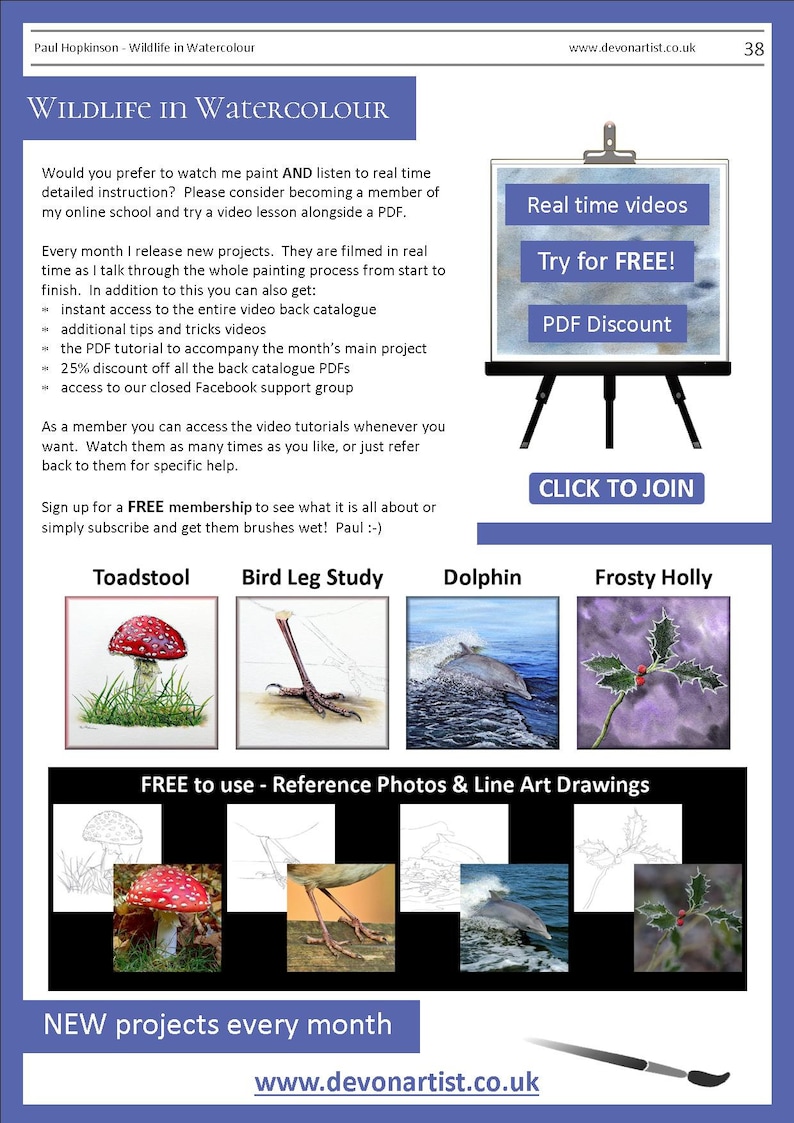 The last page of the lesson, with 4 more PDFs illustrated.  A red spotty toadstool, a bird's leg study, a dolphin and a sprig of holly.  Above is a section of written text focused on the watercolor video tutorials also available.