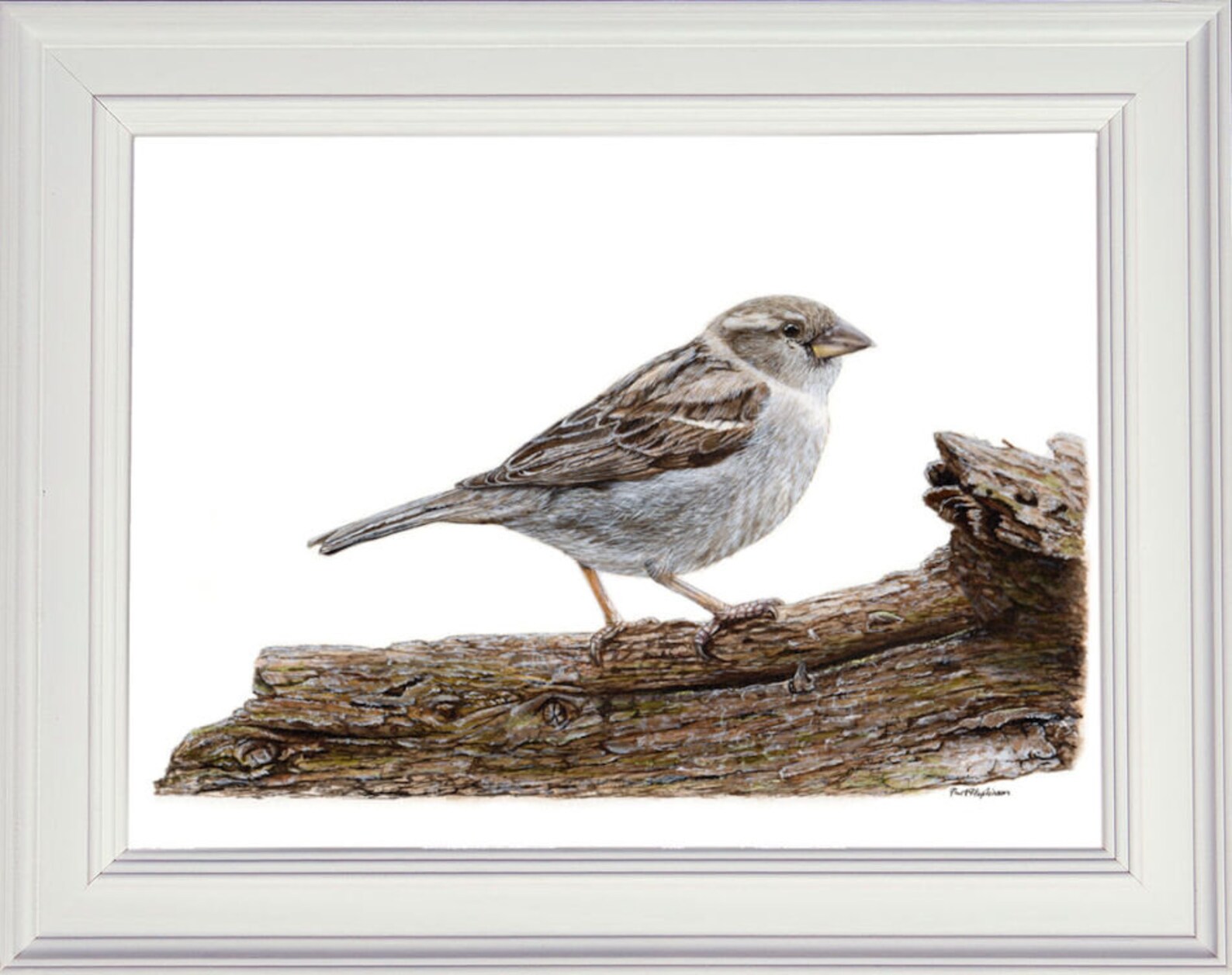 Learn to Paint Birds in Watercolour Step by Step PDF Etsy UK