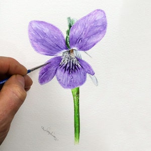 How to Paint Flowers, Dog Violet Watercolour PDF Tutorial, Botanical Watercolor Flower Study, Realistic Fine Art, Illustration Style Artwork