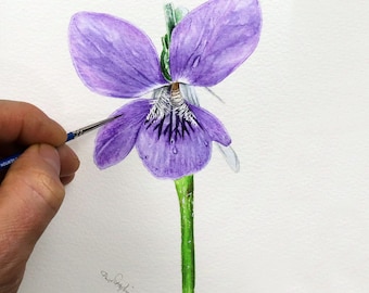 Dog Violet Watercolor Painting Tutorial: Botanical Fine Art (PDF Download)