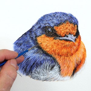 Learn to Paint Realistic Birds Using Watercolor, Illustration Fine-Art Style Watercolour Swallow Painting