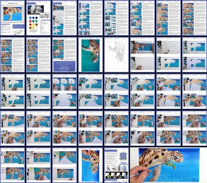 An overview of the sea turtle lesson, showing lots of pages of content, both written and photos of Paul's work as he progresses through the painting.