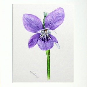 The violet painting in a cream mount