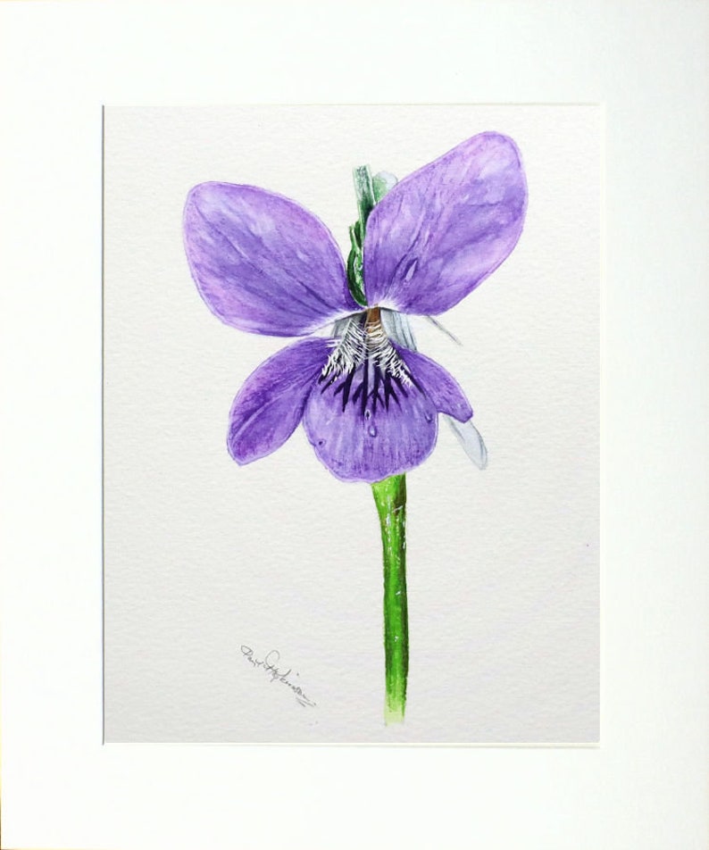 The violet painting in a cream mount
