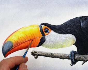 Toucan Watercolour Painting Course, Learn to Paint Realistic Birds in Watercolor, Step-by-Step Instructions