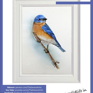 The first page of the lesson, which has the completed bluebird painting in a white, portrait style frame, then below are links to Paul's other online channels.