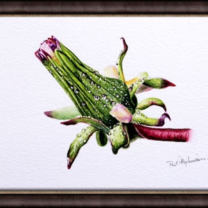 The flower painting in a dark brown frame