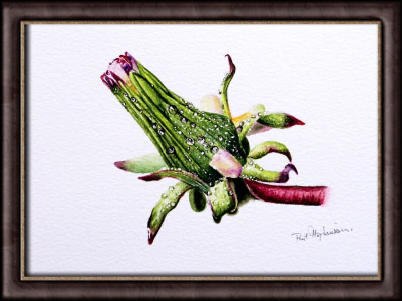 The flower painting in a dark brown frame