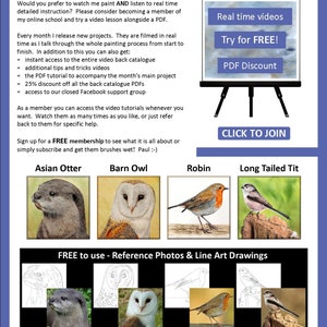 The final page of the lesson which shows four more tutorials that can be bought as downloadables.  An otter, barn owl, robin and long tailed tit bird.