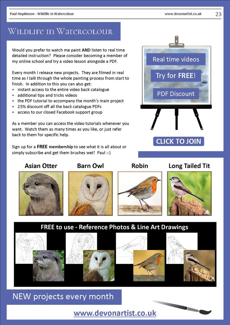 The final page of the lesson which shows four more tutorials that can be bought as downloadables.  An otter, barn owl, robin and long tailed tit bird.