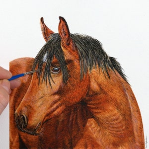 ORIGINAL Watercolour Horse Portrait, Fine Art Detail, Watercolor Painting Study, Animal Art Illustration, Horse Painting, Horse Artwork