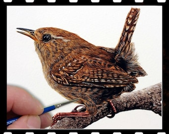 Watercolor Painting Video, Learn to Paint a Wren in Fine-detailed Watercolour