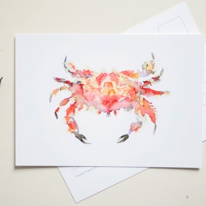 Ilustracja krab karta lato pocztówka.
