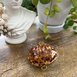 Vintage Cowrie Shell Jewelry/Trinket/Pill Box
