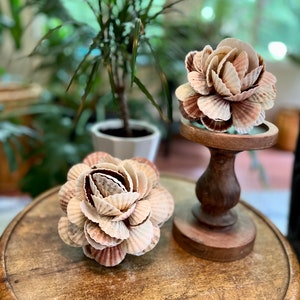 May include: Two decorative shell flower arrangements on wooden pedestals. The flowers are made of natural seashells and are a light brown color. The pedestals are dark brown wood.