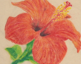 Hibiscus flower, charcoal and pastel on calico