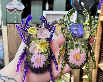 Resin Flower Beetle