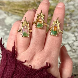 May include: Three gold-colored rings with a gothic arch design. Each ring features a miniature terrarium with a mushroom or flowers inside. The rings are on a hand, showcasing the intricate details and unique style of the jewelry.